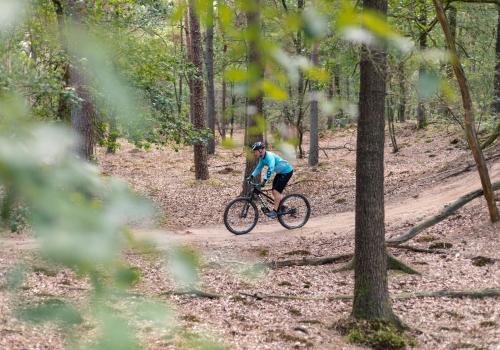 Siblu-Lentevandrenthe-Mountainbike